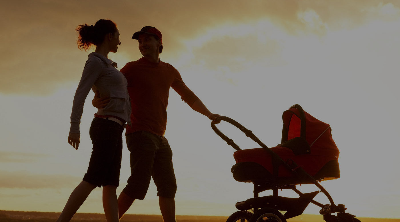 #htmlcaption2 Travel System
